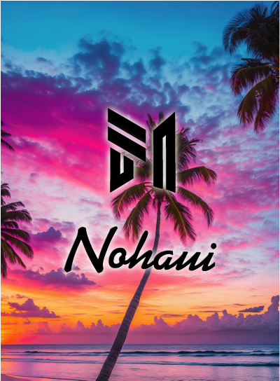 BANNER NOHAUI PALMERAS SURF